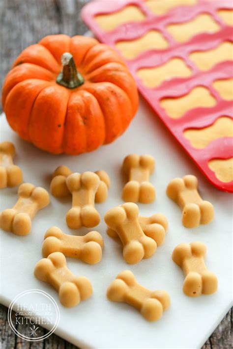 fall dog accessories|fall dog treats.